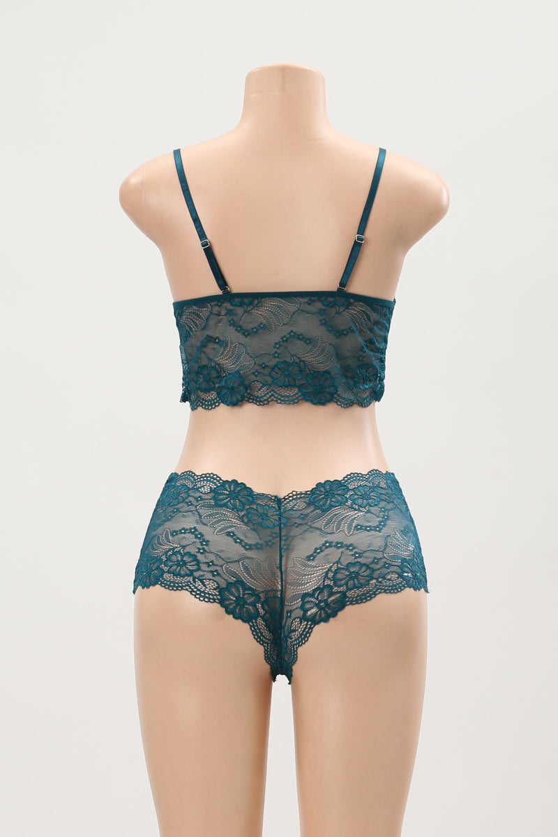 Garance delicate two piece lace bra set plus size — So Pretty Intimates