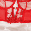 Silene high-waisted embroidered sheer bra set — So Pretty Intimates